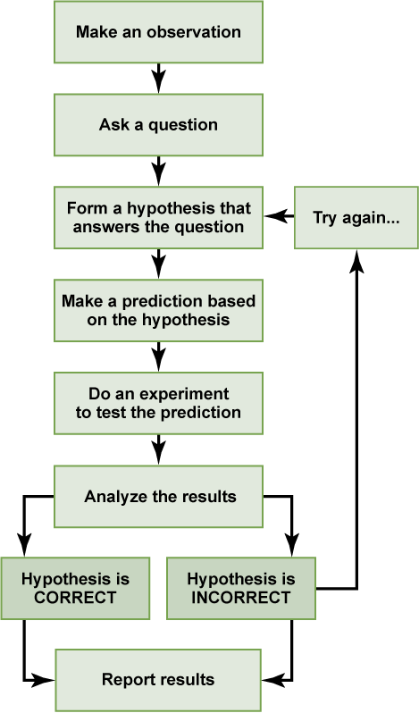 Scientific method flow chart