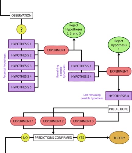 Scientific method flow chart